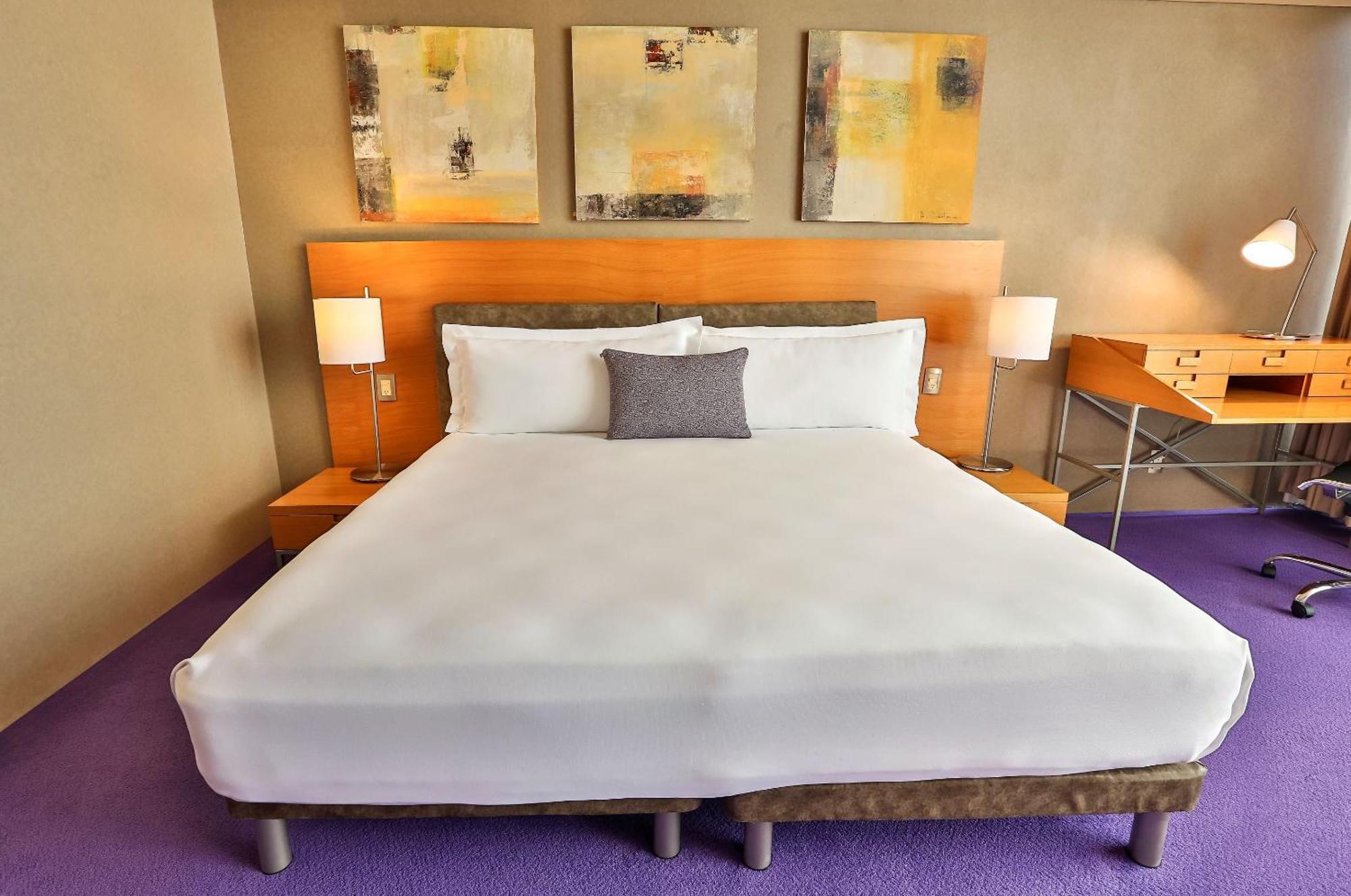 กามีโน เรอัล ซานตาเฟ่ Hotel เม็กซิโกซิตี้ ภายนอก รูปภาพ A room at the Standard East Village